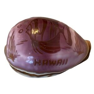 VTG Hawaii Fish Etched Cowrie Shell - Rare!